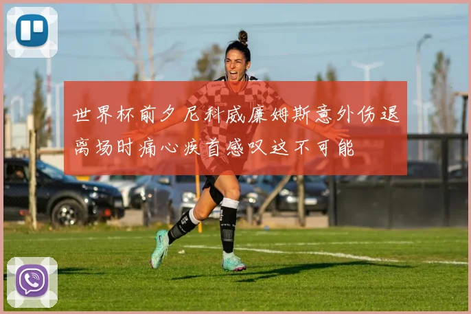 世界杯前夕尼科威廉姆斯意外伤退离场时痛心疾首感叹这不可能