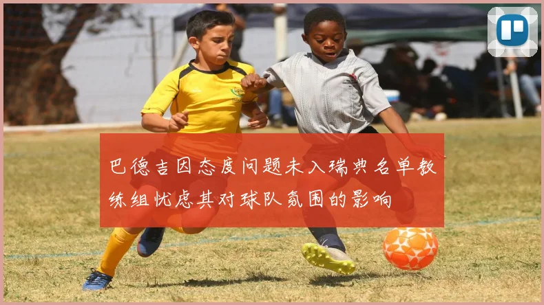 巴德吉因态度问题未入瑞典名单教练组忧虑其对球队氛围的影响