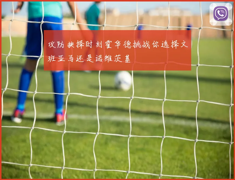 攻防抉择时刻霍华德挑战你选择文班亚马还是诺维茨基
