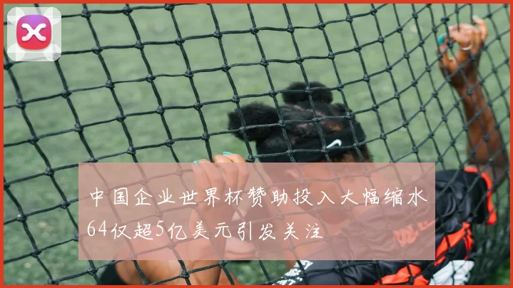 中国企业世界杯赞助投入大幅缩水64仅超5亿美元引发关注