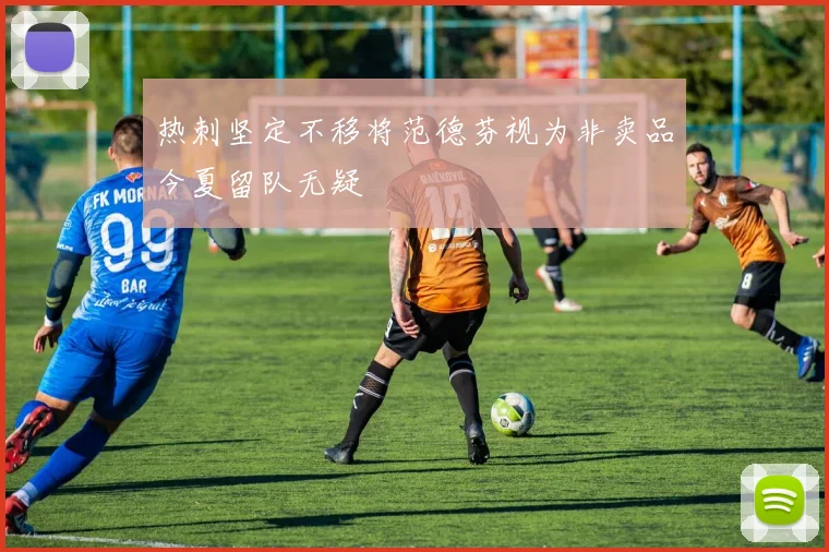 热刺坚定不移将范德芬视为非卖品今夏留队无疑