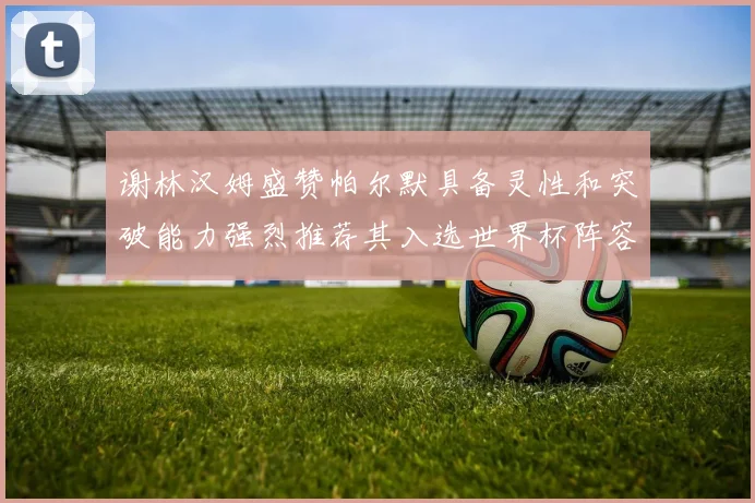 谢林汉姆盛赞帕尔默具备灵性和突破能力强烈推荐其入选世界杯阵容